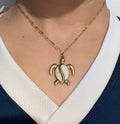 Cadena Tortuga